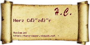 Herz Cézár névjegykártya